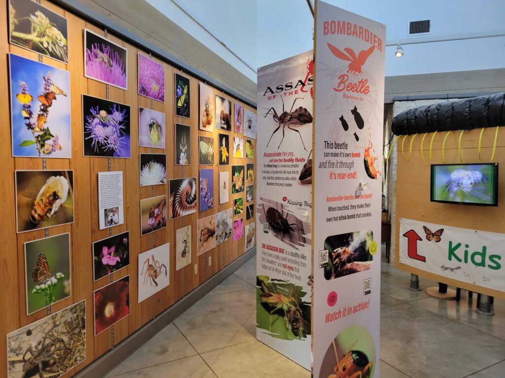 Riverside Nature Exhibit
