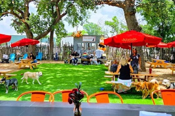 Outdoor dog friendly patio with tables and chairs