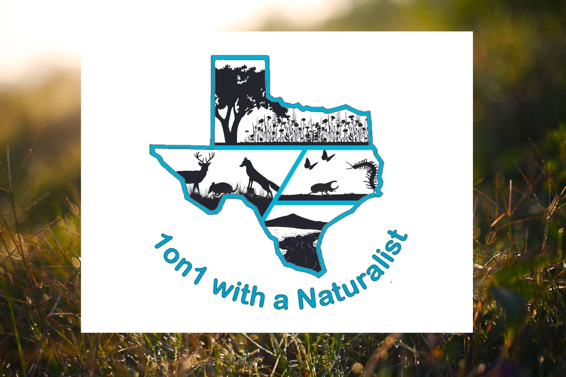 1on1 with a Naturalist 1on1 with a Naturalist graphic