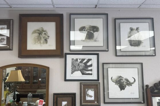 Photo frames on wall