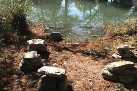 Bird's Nest River Front