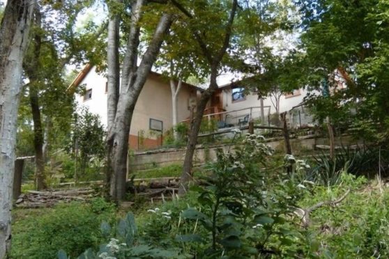 Bird's Nest River View