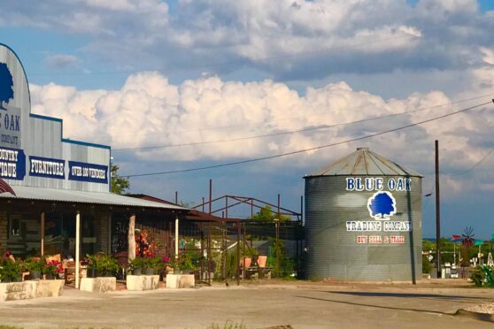 Blue Oak Trading Company building storefront