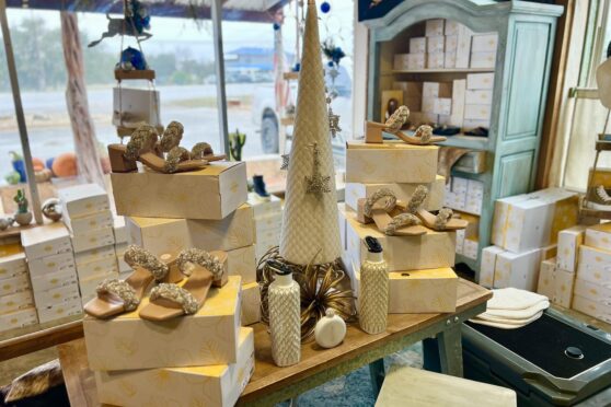Blue Oak Trading Company Display