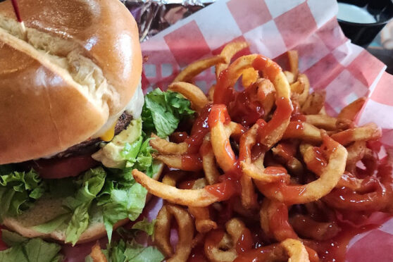 Brewdawgz Grille and Ale Burger and Fries