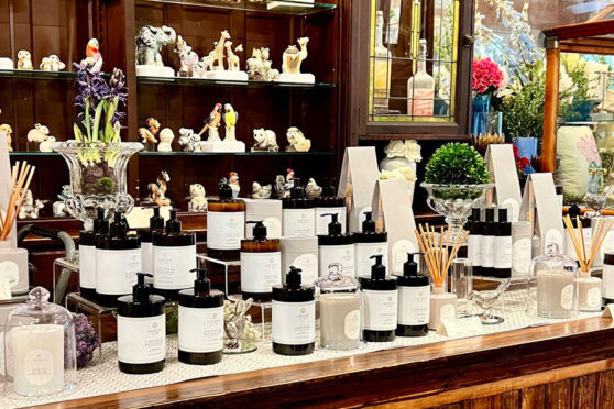 Camp Verde General Store lotion display