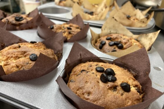 Carrot Patch Cafe muffins