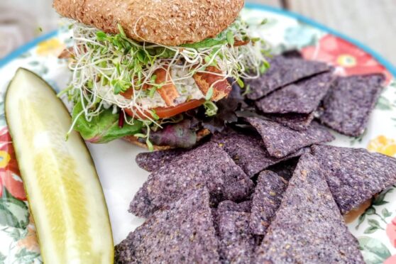 Carrot Patch Cafe veggie Burger