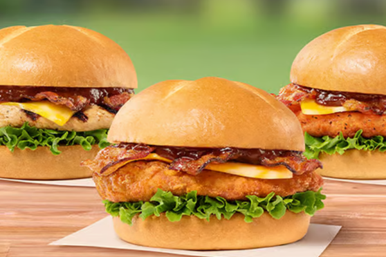 Chick Fil A sandwich