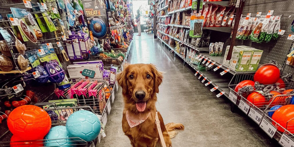 Dog in aisle at Pet Supplies Plus