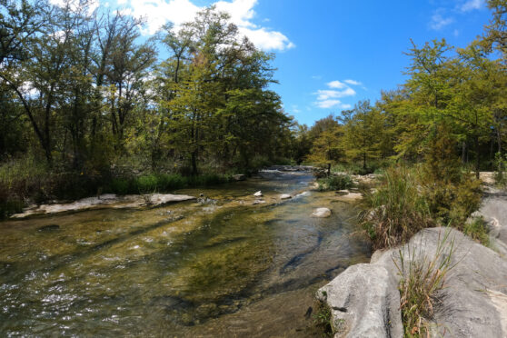 Guadalupe river view