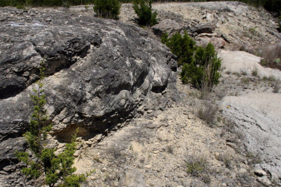 Kerr Wildlife Management Area rock soil