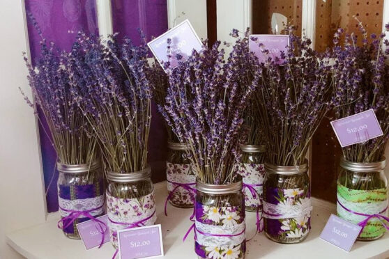 Lavender and Old Lace product display of lavender