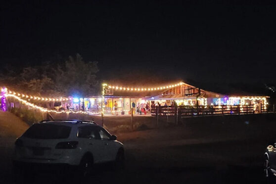 Lazy Days Canteen at night