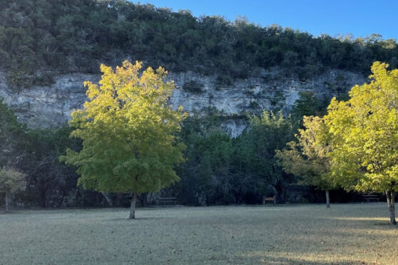 Lost Maples State Natural Area open space- Texas Parks and Wildlife