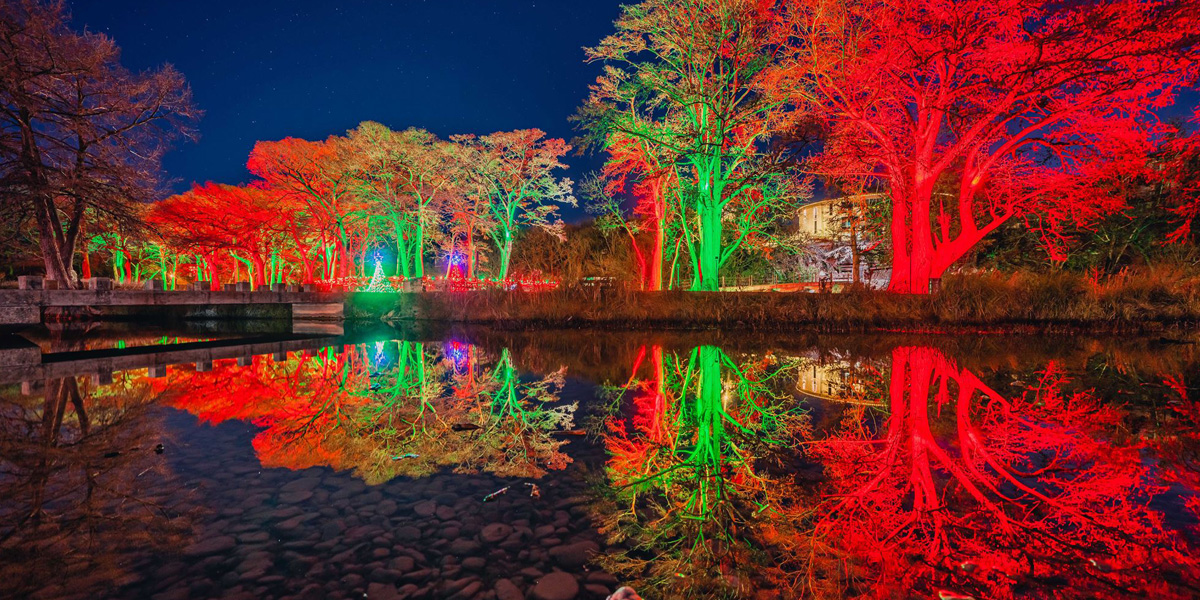 pond reflecting trees lighted green and red