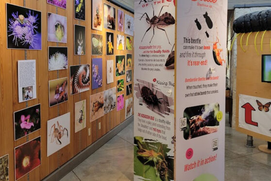 Riverside Nature Center display