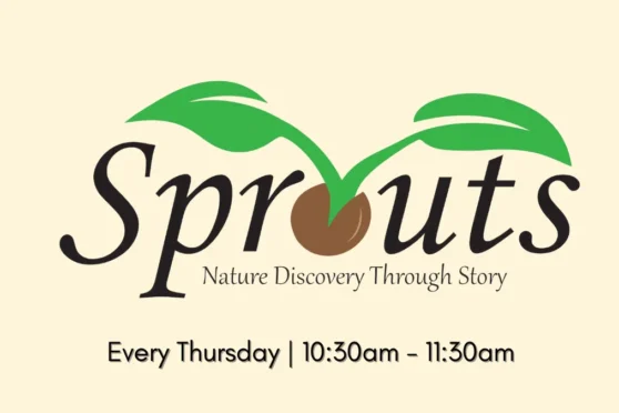 Sprouts graphic