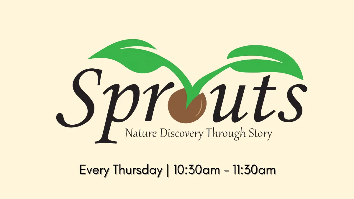 Sprouts graphic