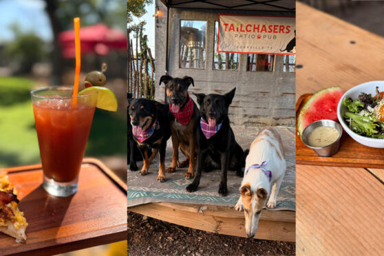 Tailchasers Dog Park & Pub food and drink offerings and dog park