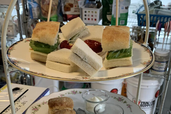 Tea sandwiches