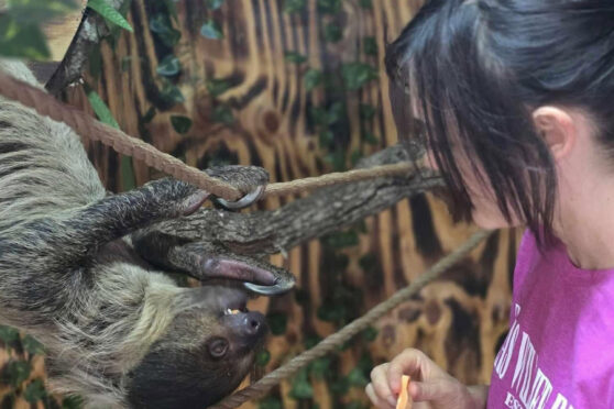 Texas Wildlife Park visitor feeding wildlife