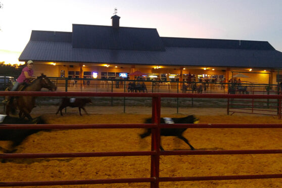 The Gravity Check Arena corral