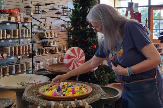 Woman shopping at Wild Birds Unlimited