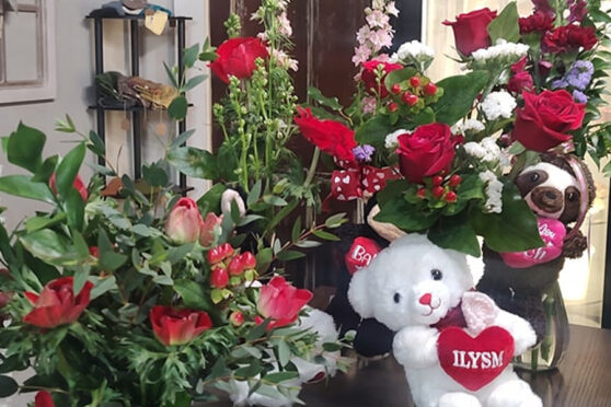 Wild Iris Florals with Teddy bear