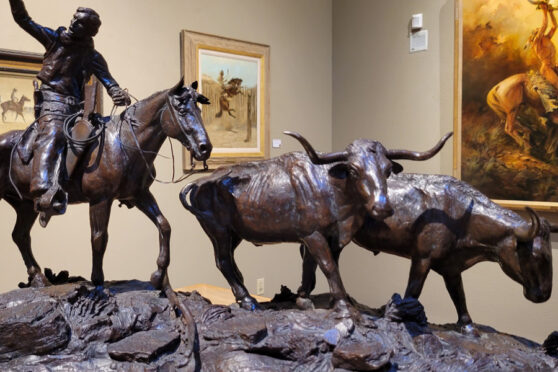 Bronze statue of cowboy and steers