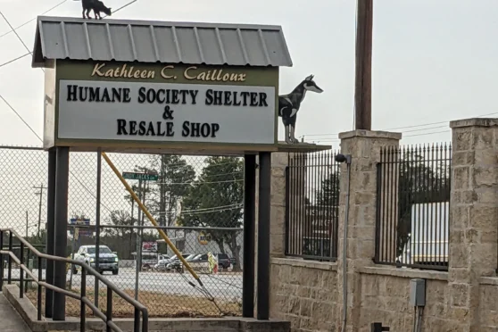 The Humane Society of Kerrville and the Resale Shop