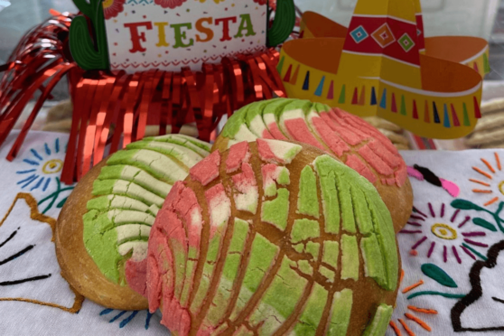 multicolored conchas