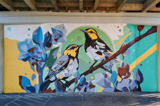 Bridge Mural- Birds and Blossoms