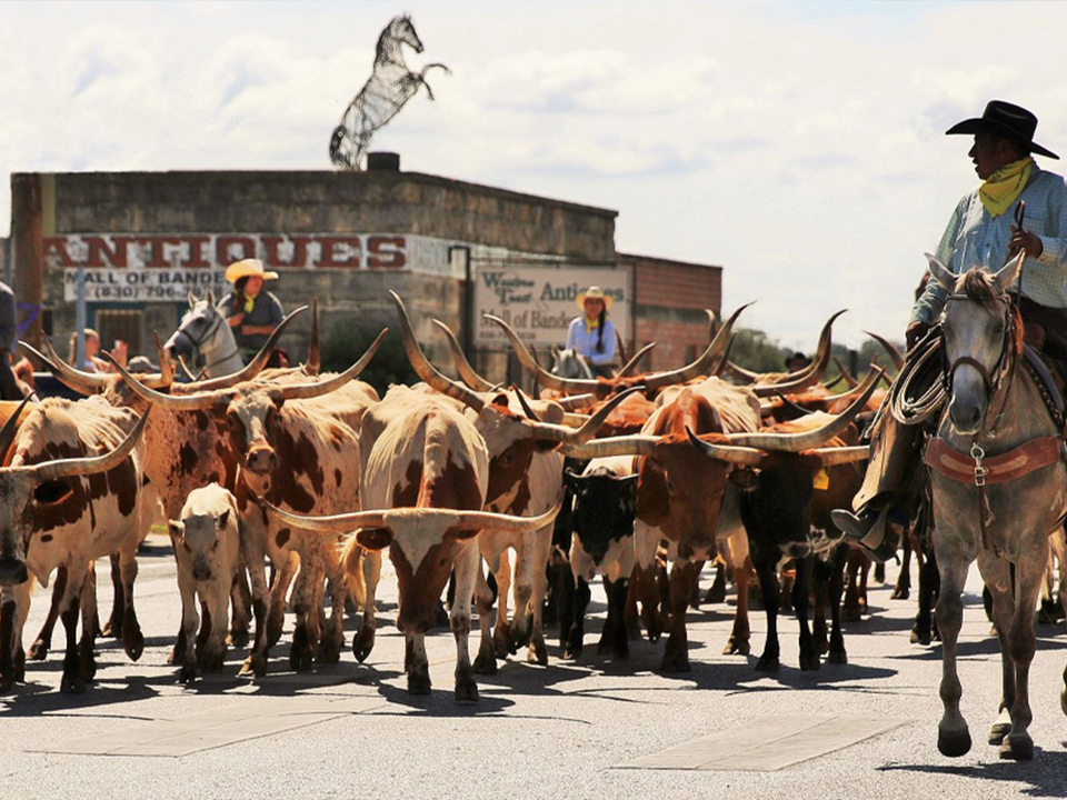 Bandera, Texas Cattle Drive down Main Street - Photo Credit-Bandera County Convention and Visitors Bureau