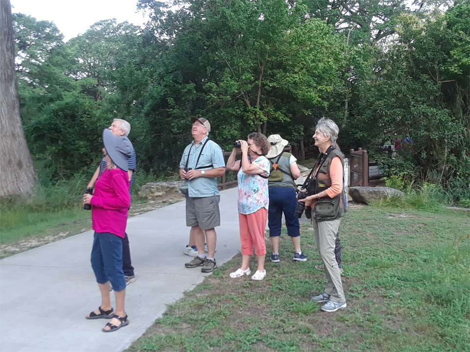 people on trail bird watching
