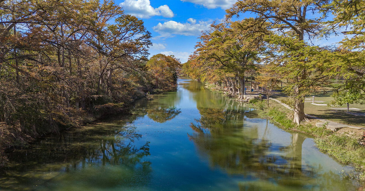 River with trees