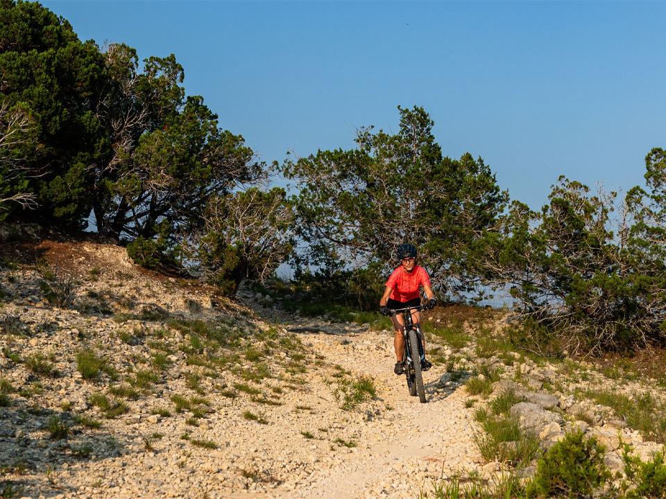 Mountain biker on trail