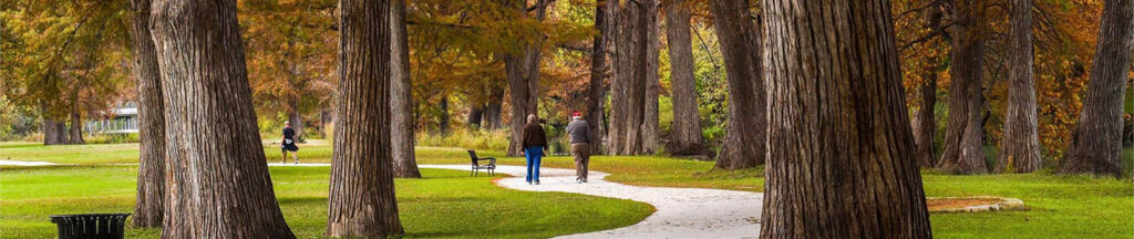 Couple walking in park