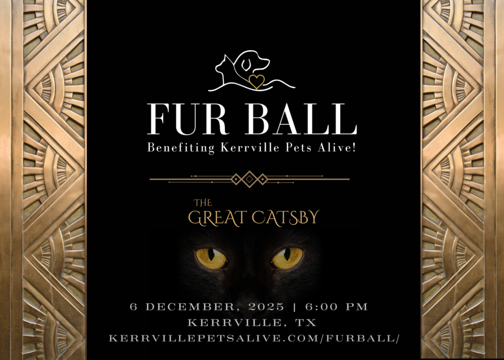 Fur Ball Invite Postcard