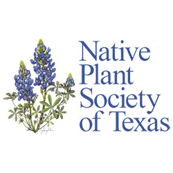 Native Plant Society of Texas