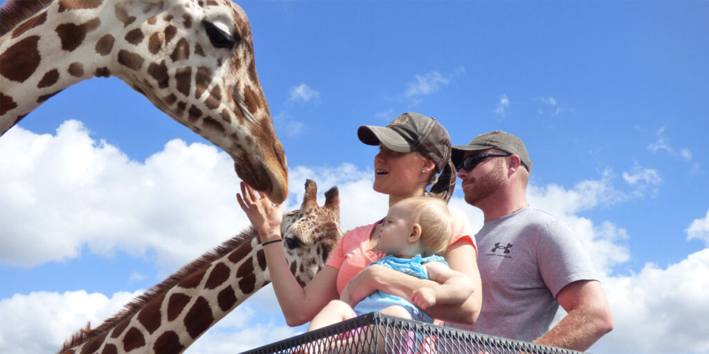 family petting a giraffe