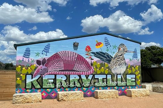 colorful Kerrville mural with armadillo
