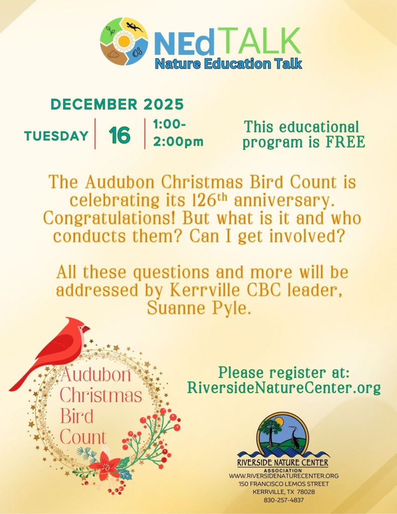 NEdTalk flyer about the Audubon Christmas Bird Count with event details and bird graphics.