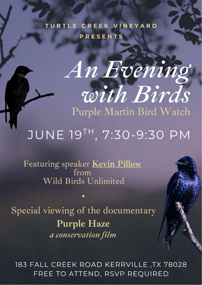 Event flyer for "An Evening with Birds: Purple Martin Bird Watch" on June 19th at Turtle Creek Vineyard.